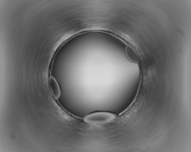 X0000111001181200906261452