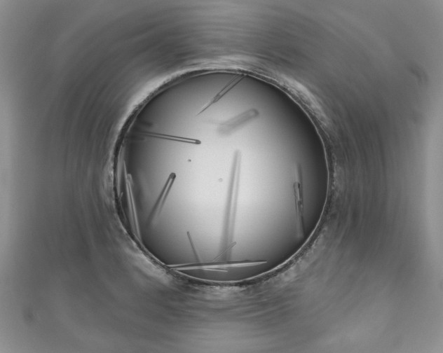 X0000111001184200906261452