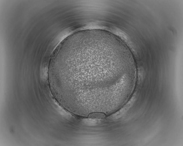 X0000111001185200906261452