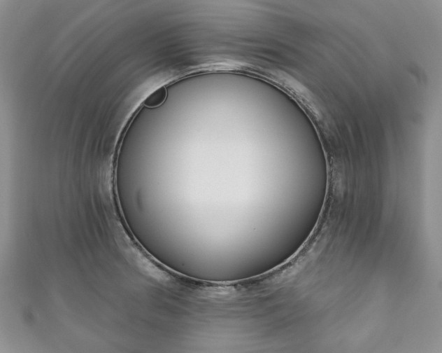 X0000111001186200906261452