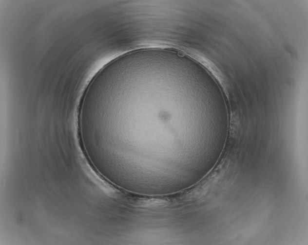 X0000111001187200906261452