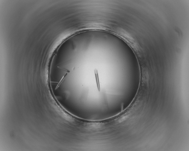 X0000111001188200906261452