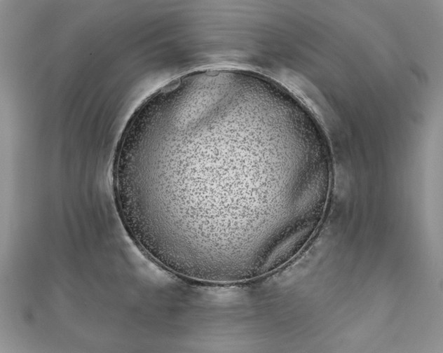 X0000111001189200906261452