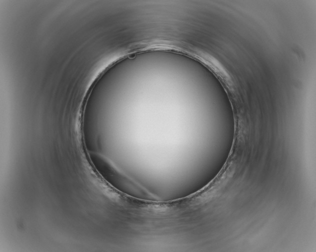 X0000111001190200906261452