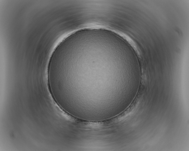 X0000111001191200906261452