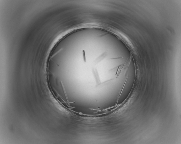 X0000111001192200906261452