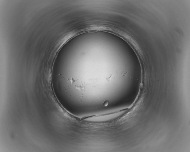 X0000111001193200906261452