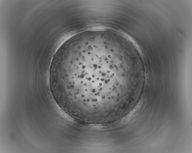 X0000111001194200906261452