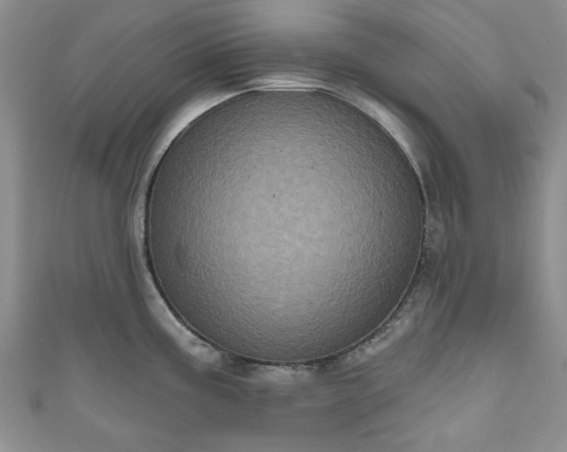 X0000111001195200906261452