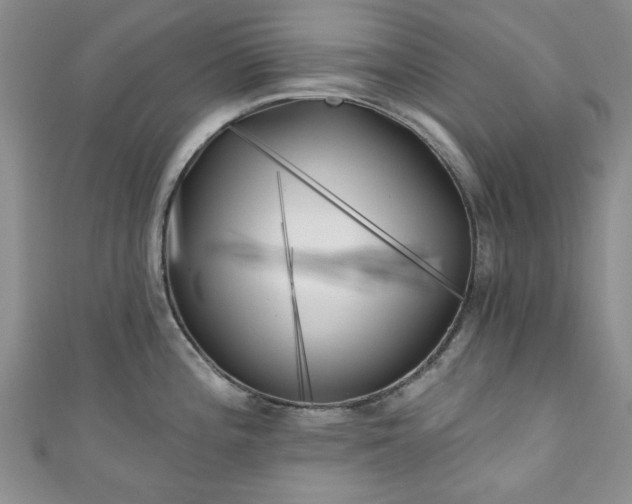 X0000111001196200906261452