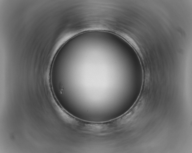 X0000111001197200906261452