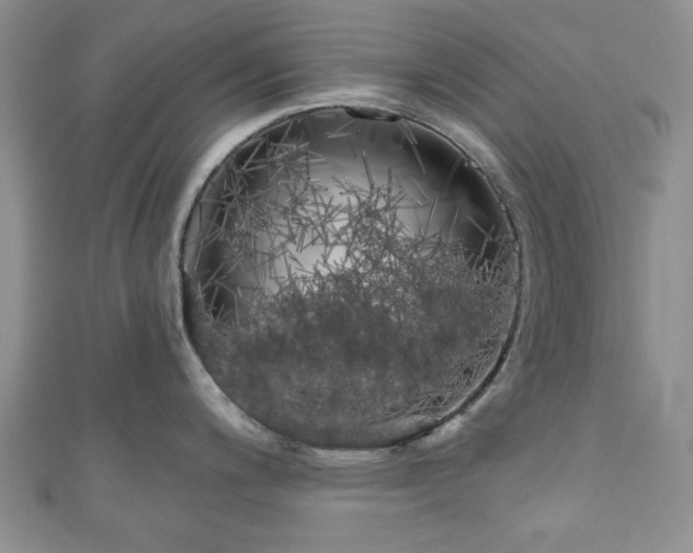 X0000111001200200906261452
