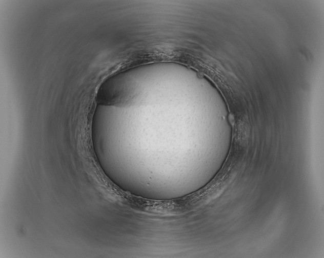 X0000111001201200906261451