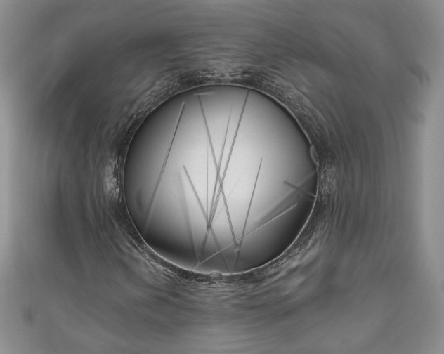 X0000111001202200906261451