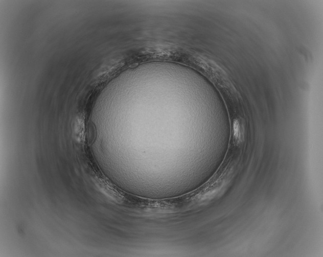 X0000111001203200906261451