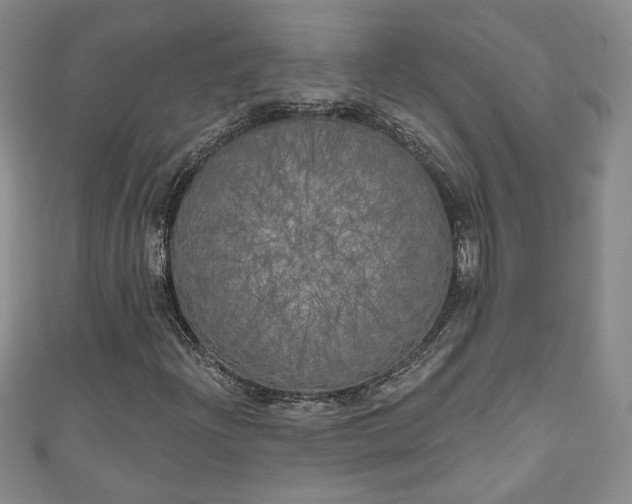 X0000111001204200906261451