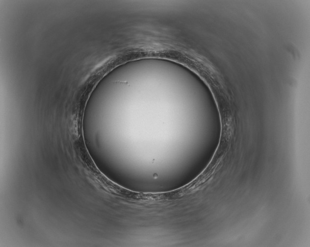 X0000111001205200906261451