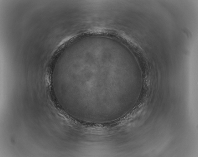 X0000111001206200906261451