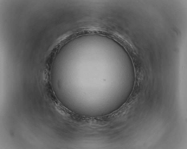 X0000111001207200906261451