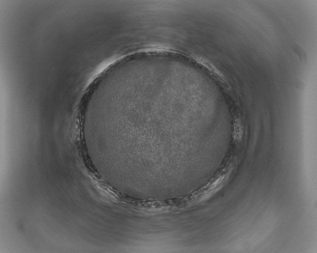 X0000111001208200906261451