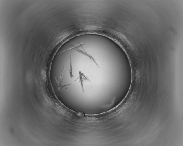 X0000111001209200906261451