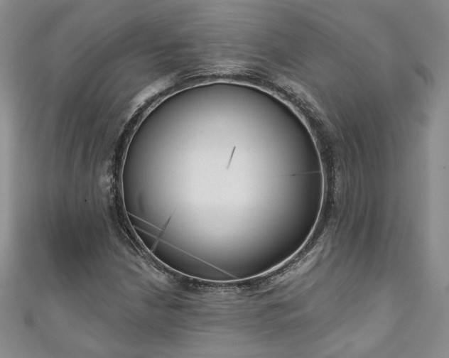 X0000111001210200906261451