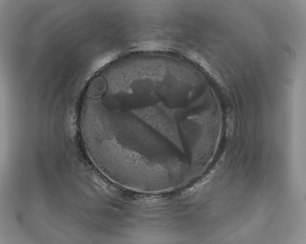 X0000111001213200906261451