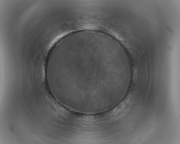 X0000111001214200906261452