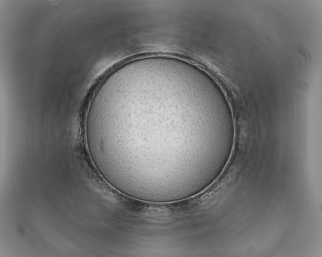 X0000111001215200906261452