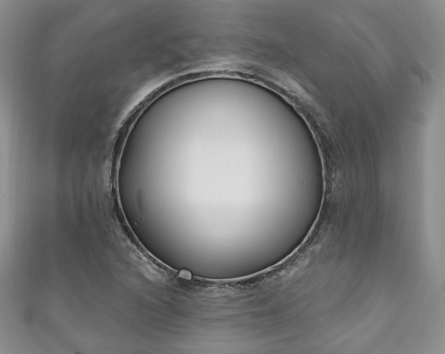 X0000111001216200906261452