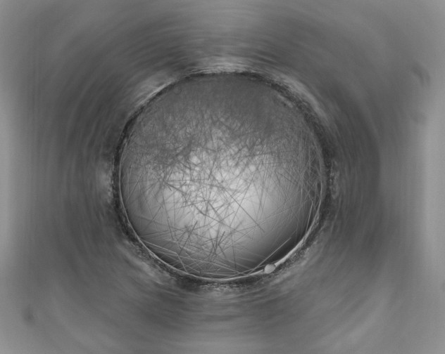 X0000111001217200906261452