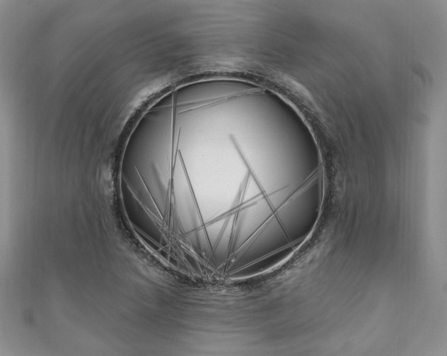 X0000111001218200906261452