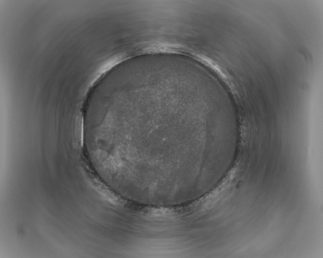 X0000111001219200906261452