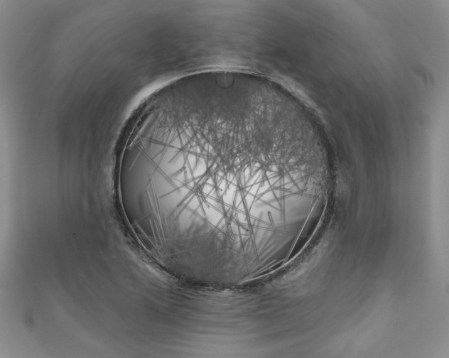 X0000111001222200906261452