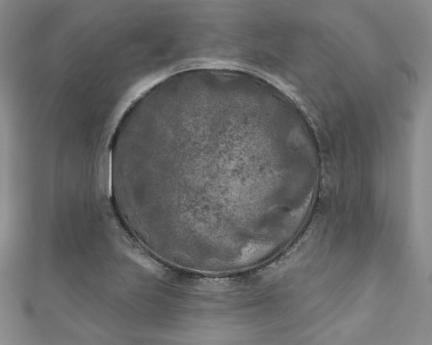 X0000111001223200906261452