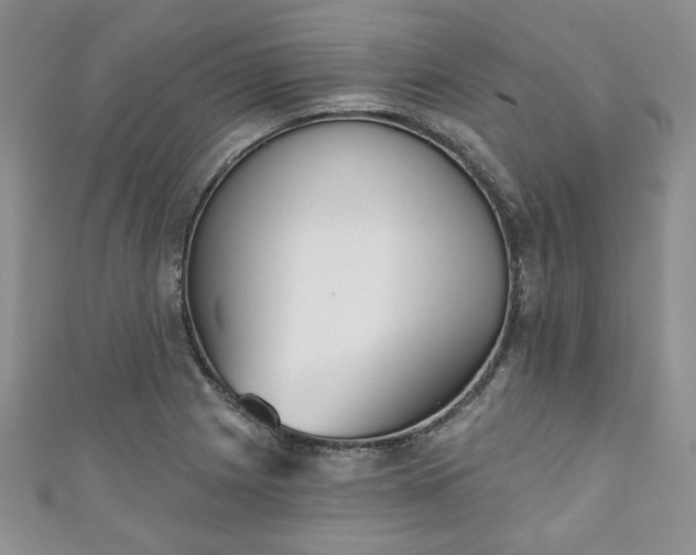 X0000111001225200906261452