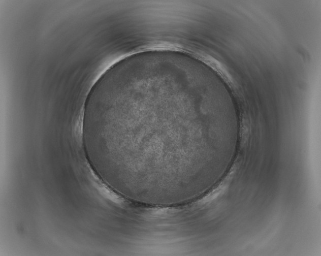 X0000111001228200906261452