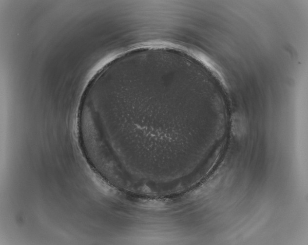 X0000111001229200906261452