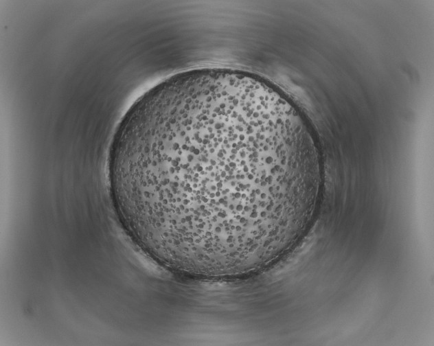 X0000111001230200906261452