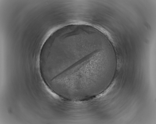 X0000111001231200906261452