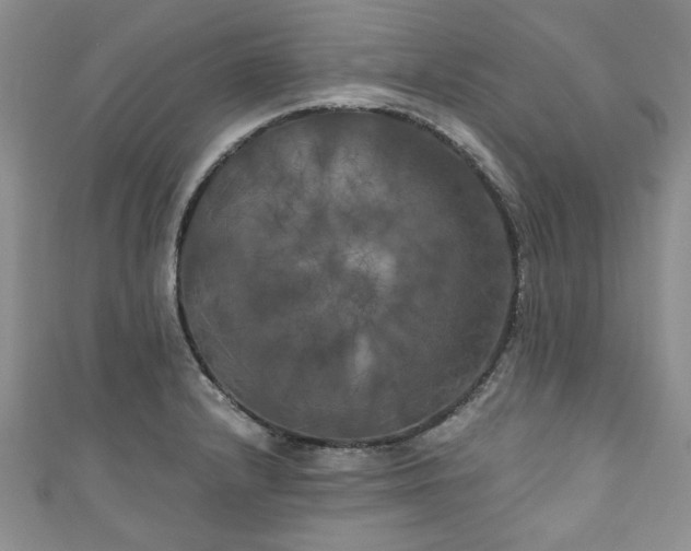 X0000111001232200906261452