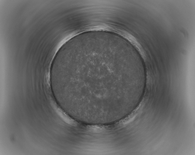 X0000111001234200906261452