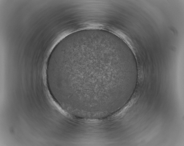 X0000111001235200906261452