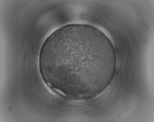 X0000111001237200906261452