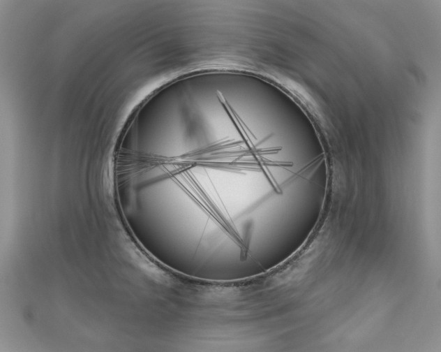 X0000111001238200906261452