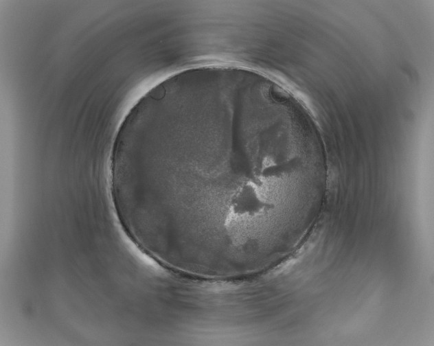 X0000111001239200906261452