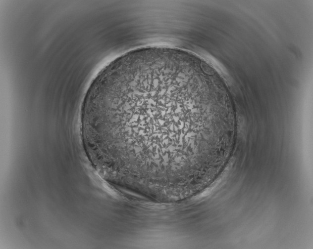 X0000111001240200906261452