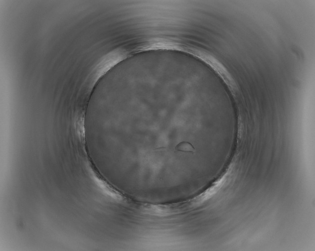 X0000111001241200906261452