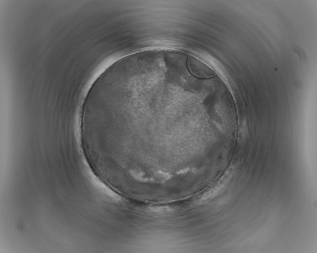 X0000111001243200906261452