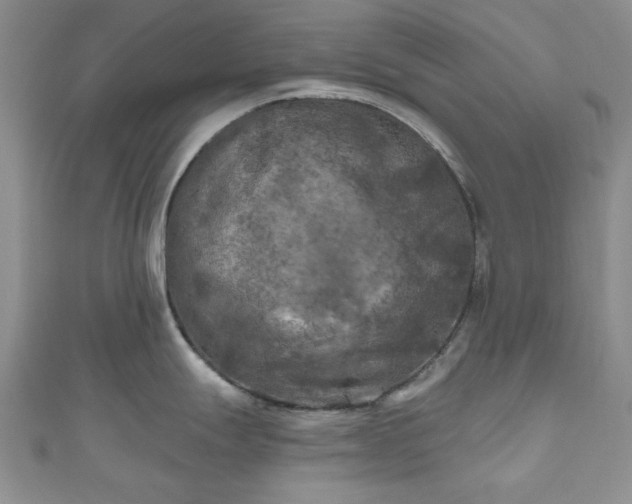 X0000111001247200906261452